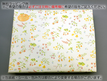 レイメイ藤井-ダ・ヴィンチ-グランデ-ポケットサイズ-システム手帳（リングサイズ14ｍｍ）-DP3015B-ブラック | 3 | ブング・ステーション