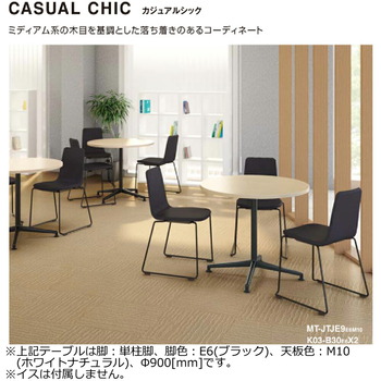 リプルーグル-地球儀-トレジャリー型＜The-Treasury＞-球径30cm-英語版-12--WORLD-NATION-SERIES-30803-ホワイト-フラットシルバー | 8 | ブング・ステーション